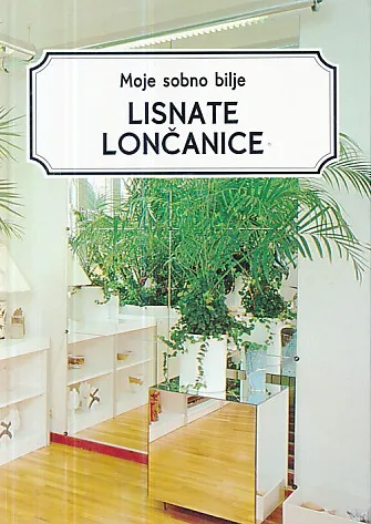 Moje sobno bilje: Lisnate lončanice