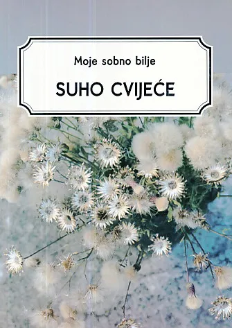 Moje sobno bilje: Suho cvijeće