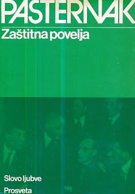 Zaštitna povelja i druge proze