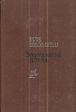 Savremeni junak