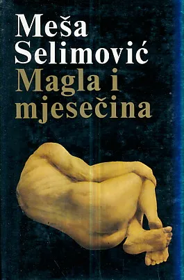 Magla i mjesečina