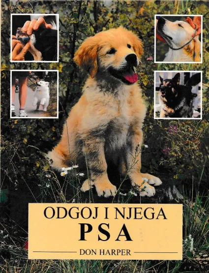 Odgoj i njega psa