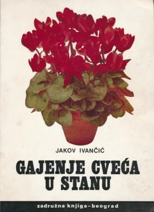 Gajenje cveća u stanu
