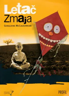 Letač zmaja