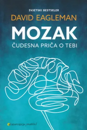 Mozak: Čudesna priča o tebi