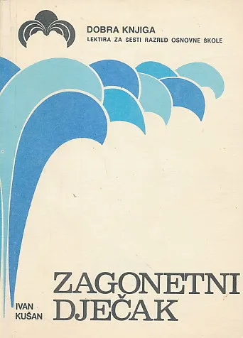 Zagonetni dječak