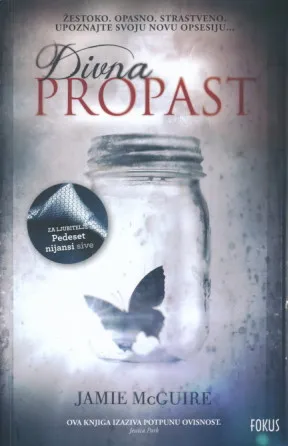 Divna propast