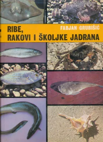 Ribe, rakovi i školjke Jadrana