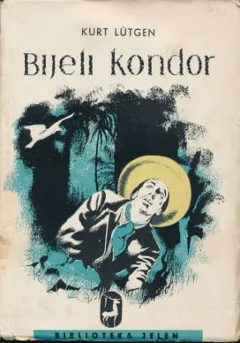 Bijeli kondor