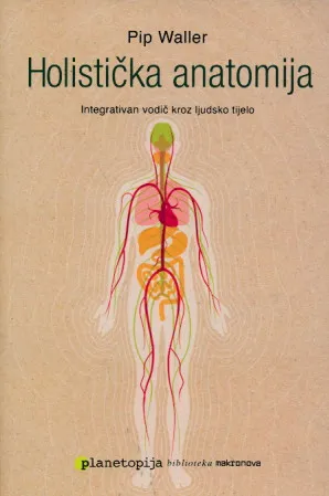 Holistička anatomija