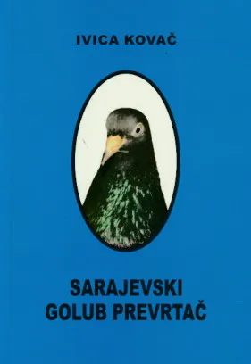 Sarajevski golub prevrtač