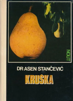 Kruška