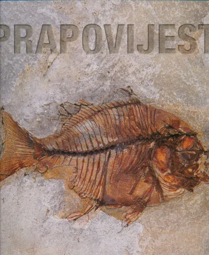 Prapovijest