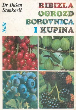 Ribizla, ogrozd, borovnica i kupina