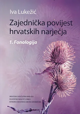 Zajednička povijest hrvatskih narječja