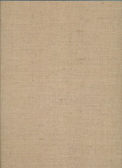 Primitive Painting