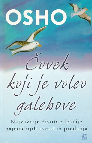 Čovek koji je voleo galebove