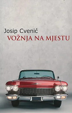 Vožnja na mjestu