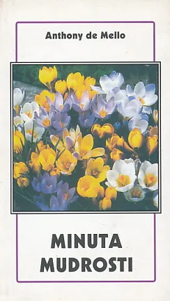 Minuta mudrosti