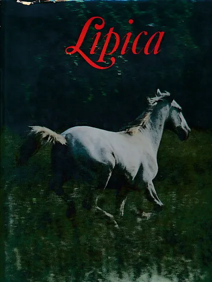 Lipica (eng)