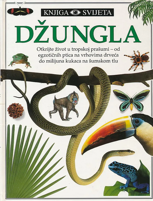 Džungla