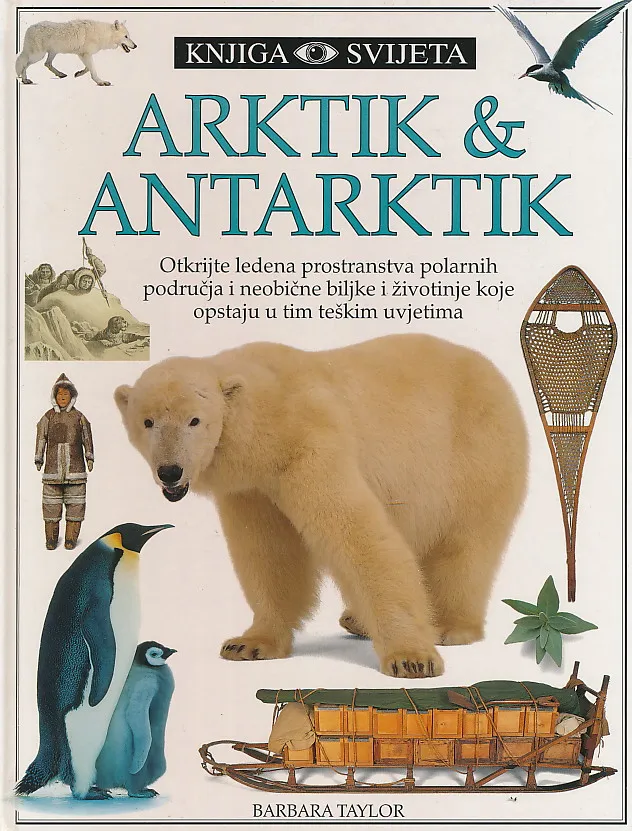 Arktik & Antarktik