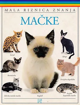 Mačke