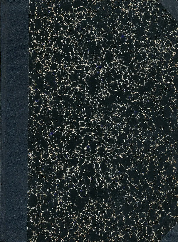 Storia del Risorgimento e dell'Unita d'Italia vol. II