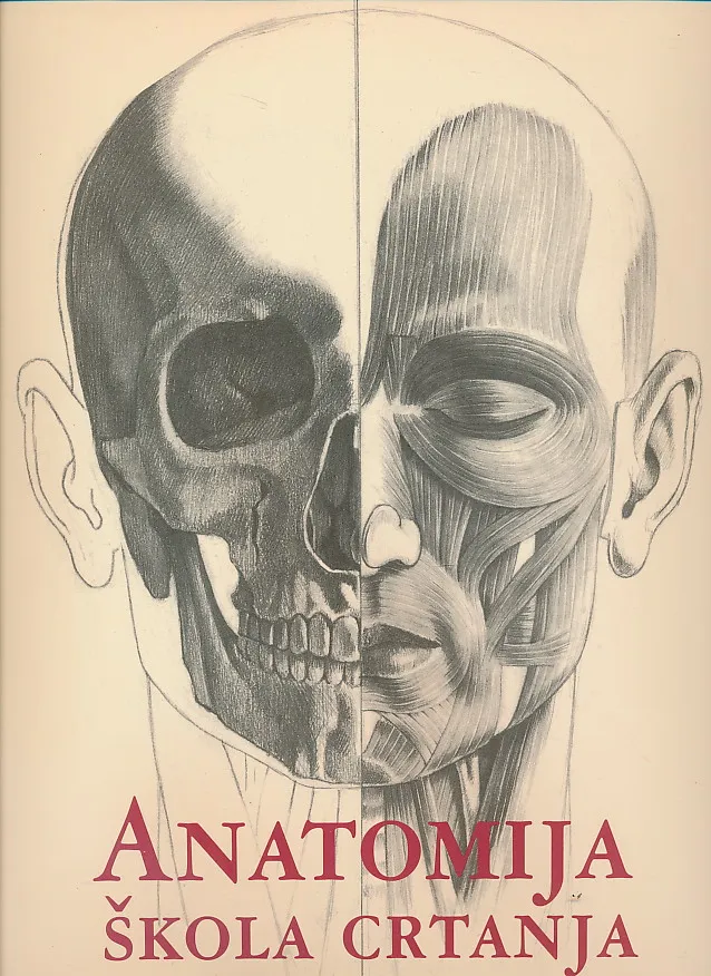 Anatomija škola crtanja