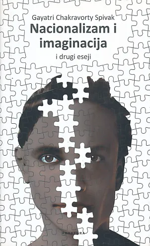 Nacionalizam i imaginacija i drugi eseji