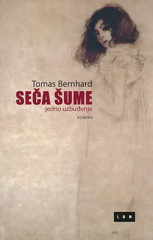 Seča šume