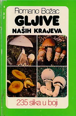 Gljive naših krajeva: 235 slika u boji
