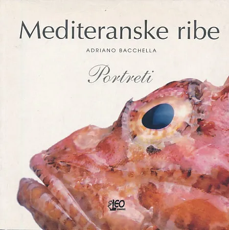 Mediteranske ribe - portreti