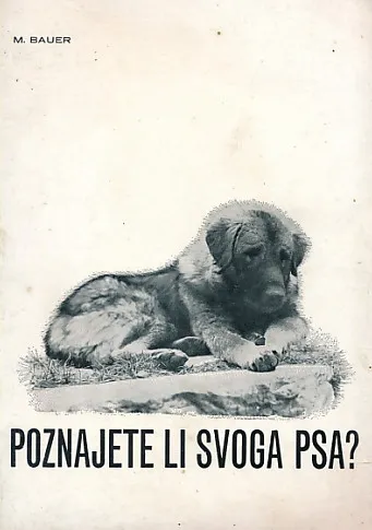Poznajete li svoga psa?