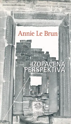 Izopačena perspektiva