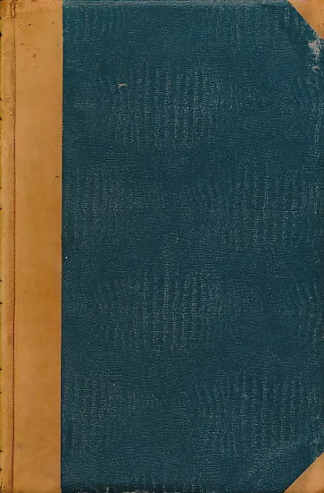 Stefana Verbecija Tripartitum