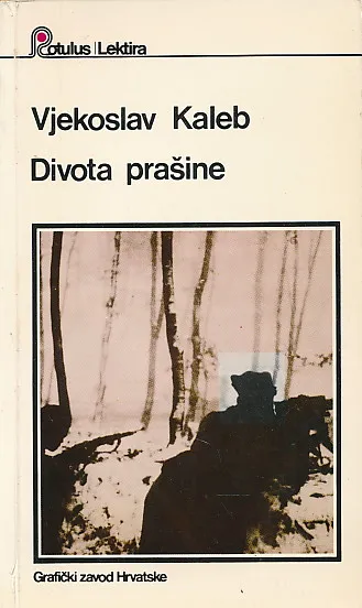 Divota prašine