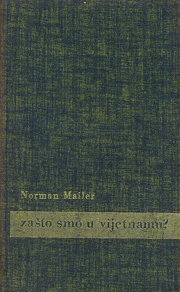 Zašto smo u Vijetnamu?