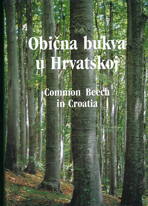 Obična bukva u Hrvatskoj