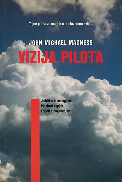 Vizija pilota