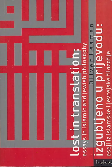 Izgubljeno u prijevodu: eseji
