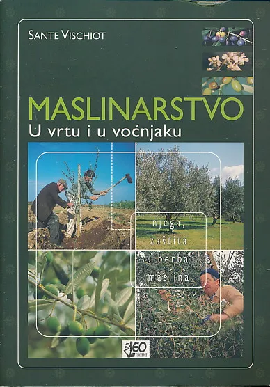 Maslinarstvo u vrtu i u voćnjaku