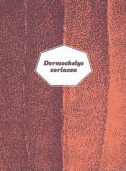 Dermochelys coriacea (HRV-ENG)