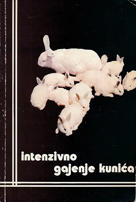 Intenzivno gajenje kunića