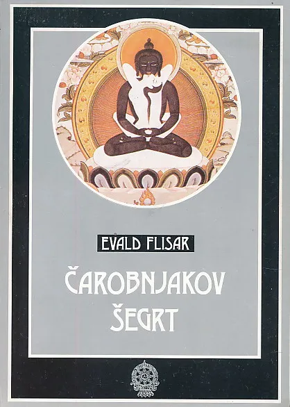 Čarobnjakov šegrt