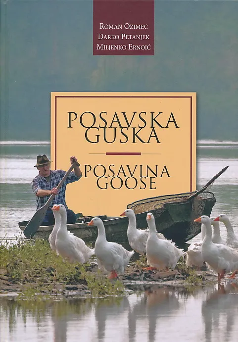 Posavska guska / Posavina Goose
