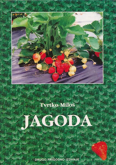 Jagoda