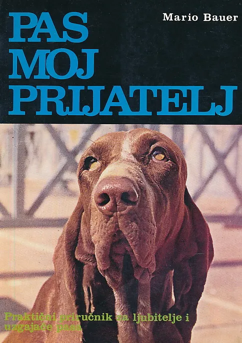 Pas, moj prijatelj