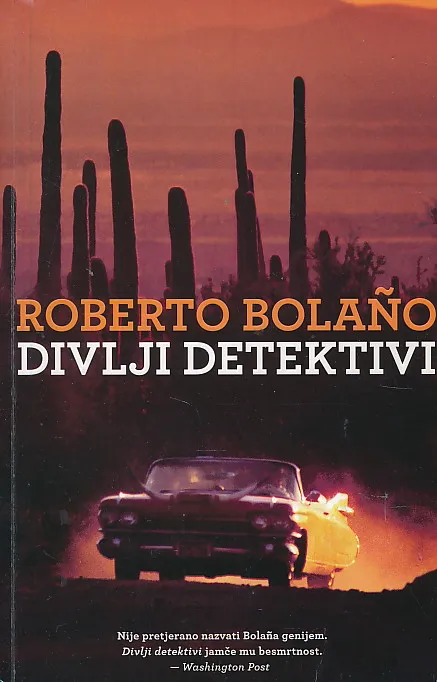 Divlji detektivi