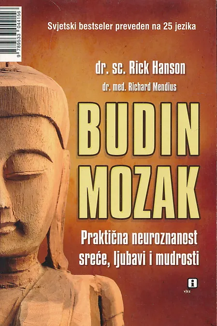 Budin mozak